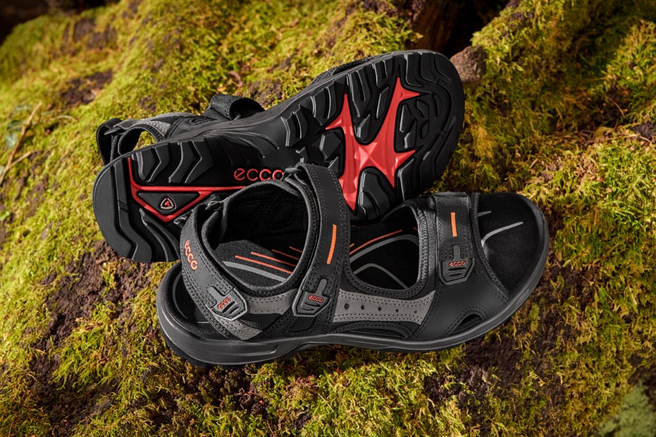 Catalog-The Perfect Summer